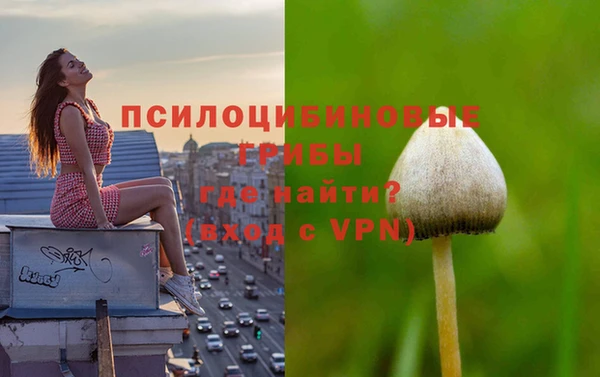 mdpv Балабаново