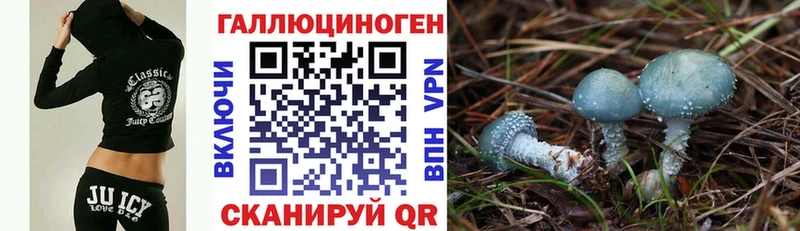 Галлюциногенные грибы ЛСД  Купить закладки  Усть-Лабинск 